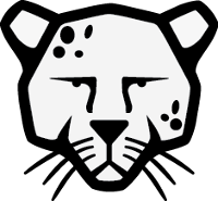 Pardus Anadolu parsı